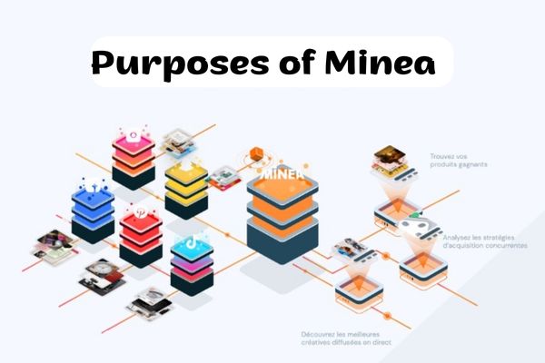 Affordable Minea's Group Buy Account