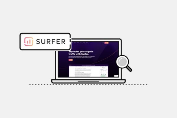 Surfer SEO tools according to group buy