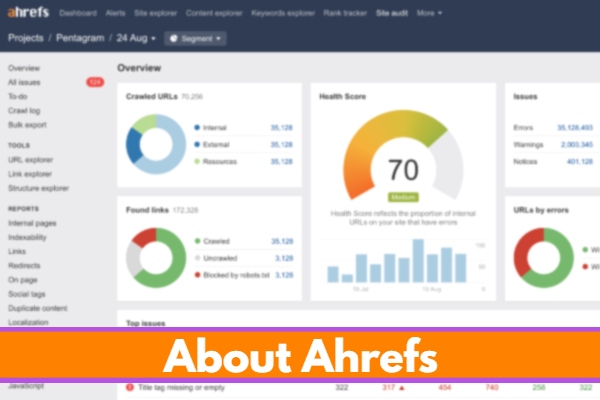 Showcasing its capabilities as a comprehensive SEO tool.